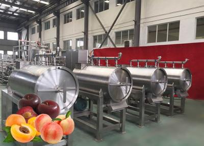 China Modular Design Peach Processing Plant High Productivity 12 Months Warranty for sale