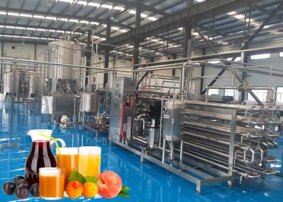China SS 304 Fruit Processing Line Peach Processing Plant Juice Puree Dried for sale