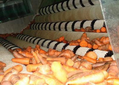 Cina Impianto di lavorazione della carota industriale/attrezzatura di elaborazione stabile della carota in vendita