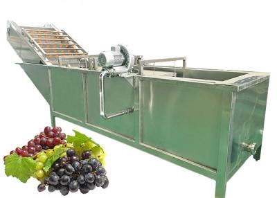 China Sterilizing SS316 20T/H Grape Juice Extraction Machine for sale