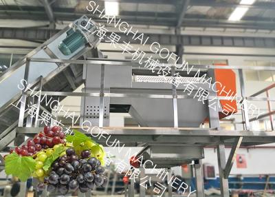 中国 20のT/Hのシステムを押す安定したグレープ ジュースの加工ライン抽出器の真空 販売のため