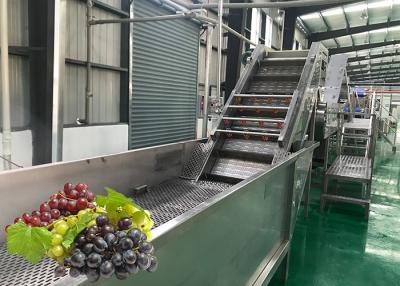 China Máquina de lavar fresca da uva do equipamento de processamento do suco de fruto da economia da água favorável ao meio ambiente à venda