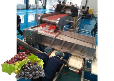 China Equipamento de processamento concentrado da linha de processamento do suco de uva/suco de fruto à venda