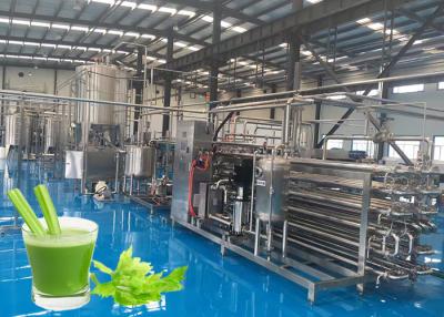 China High Efficiency Celery Vegetable Processing Equipment Programmable Control for sale