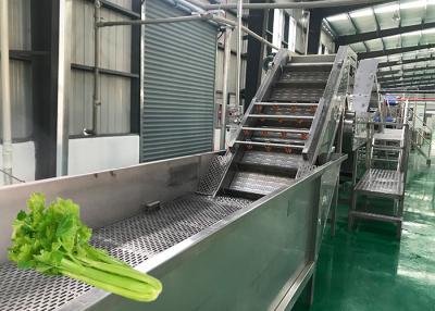China Stable Celery Food Processing Equipment Carrot Processing Line Food Grade ISO9001 for sale