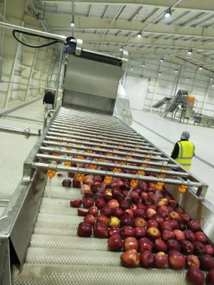 China CE Apple automático industrial Juice Processing Machine 7.5kw SUS304 à venda