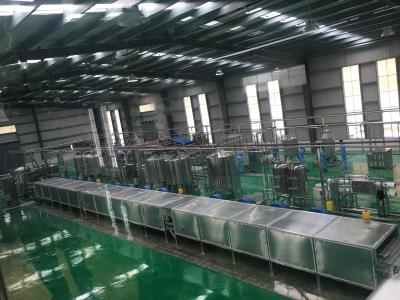 China O auto CIP 500kg/H SS304 secou a linha de processamento da manga à venda