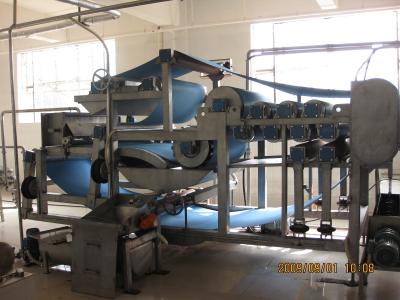 China SS304 5T/H Concentrated Pineapple Processing Line 15T/Day for sale