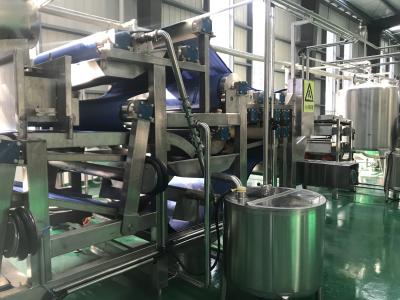 China 415V SS316 Grape Pineapple Juice Processing Machine for sale