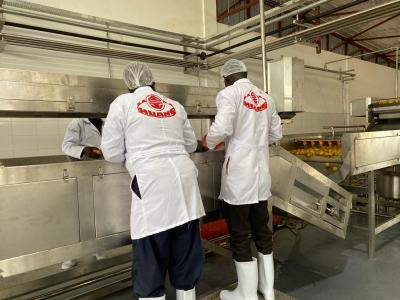 China Cadena de producción modificada para requisitos particulares de la pulpa del mango de 10T/H SS en venta