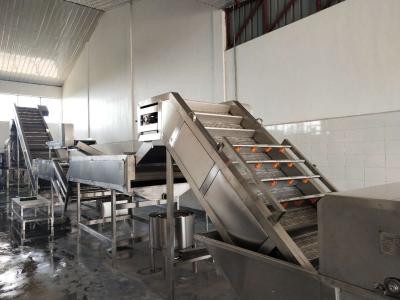 Chine Chaîne de fabrication 25t/H de purée de pulpe de mangue d'abricot de SUS316L à vendre