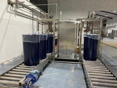 China Aseptic Bag 1t/H SUS304 Mango Pulp Processing Plant for sale