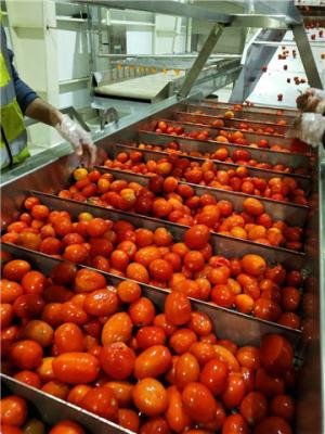 China SS304 Tomato Processing Line 20T/H Ketchup Processing Line High Performance for sale