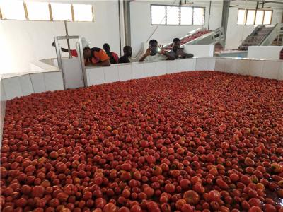China SUS304 50T/H 440V Tomato Ketchup Production Line for sale