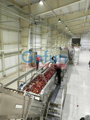 Chine Chaîne de fabrication de 3T/H Apple pour Juice Complete Plant Preheating à vendre