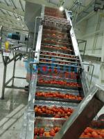 China 25T/H Tomato Ketchup Production Line Food Grade Aseptic Filling for sale