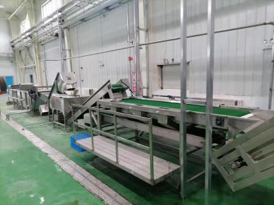 China Cadena de producción de la pulpa de la guayaba 500T/D planta de tratamiento de la guayaba de 415V para el jugo concentrado en venta