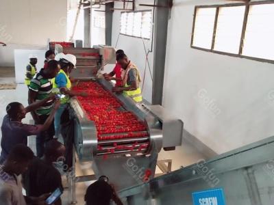 중국 1개의 토마토 주스 생산 기계 SUS304 토마토 풀 공정 라인에서 모두 판매용
