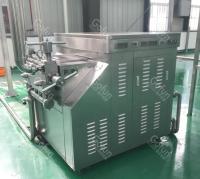 China 5T/H 304 SUS Mango Processing Line Mechanized 200KW For Beverage for sale