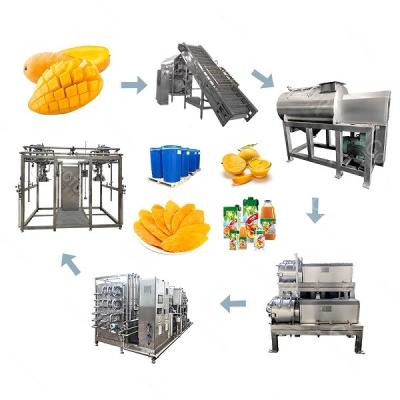 China 100T/D Mango Processing Line SUS304 Mango Juice Processing Machines One Stop Service for sale