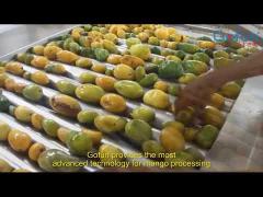 mango pulp / paste processing line