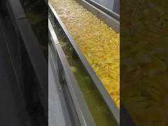 Dried mango processing line - blanching machine