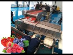 Advanced Berry juice pulp puree jam concentrate processing line