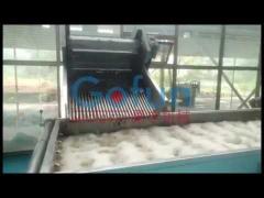 Peach Apricot Plum Processing Line - How to Produce Peach Apricot Plum Products for More Profits