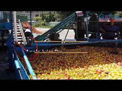 Apple juice processing plant from A to Z