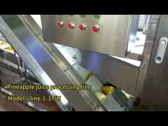 how pineapple juice is made in factory|pineapple juice| line-1-3T/H