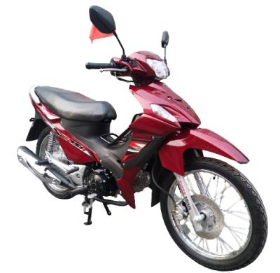 Chine moto automatique de l'embrayage 110cc Pit Dirt Bike Honda 125cc de moto de 12v 5ah CUB à vendre