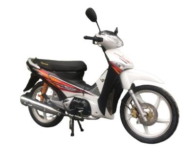 Chine Le support arrière coloré de 110cc CUB de moto de grande roue de moto en plastique de saleté fait du vélo des motos à vendre