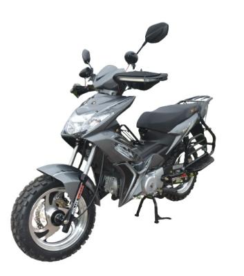 中国 道の反スキッドのカブスSportbikeMotorcycle 110ccの道の法的土のバイクを離れて 販売のため