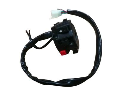 China Left Ignition Switch Assy 12V AC Motorbike Spare Parts for sale