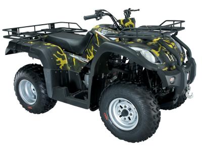China 250cc ATV Battery Powered All Terrain Vehicle Hand Controlled 4x2 Off Road Snow for sale