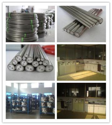 Chine Type du câble engainé par métal isolé par minerai recto J de MgO Inconel 600 de grande pureté à vendre