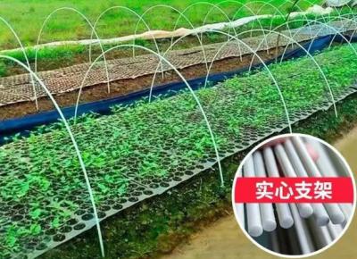 China 10mm Fiber Reinforced Plastic Rod Flexible Fiberglass Rods For Green House Planting for sale