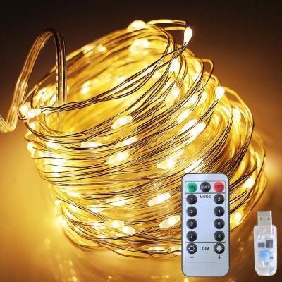 China 5M LED USB Copper String Lights Christmas Lights with Remote Controller for Festival Decoration for sale