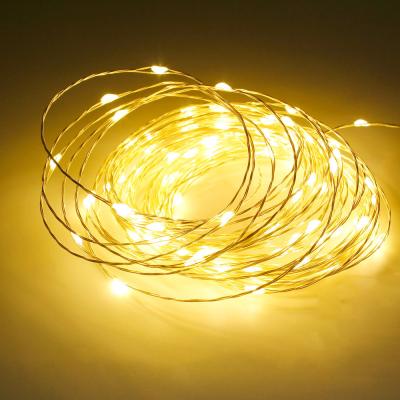 China 5M/10M/20M LED USB Single Color Cuttable Waterproof Copper Wire String Lights for Christmas for sale