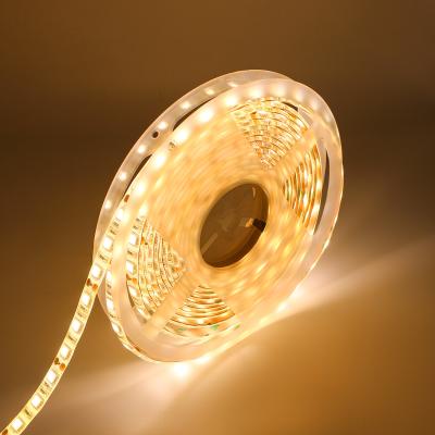 China 12V  IP65 Waterproof  strip lamp Warm White SMD 5050 smd 60LEDs/Meter LED Light Strip for outdoor for sale