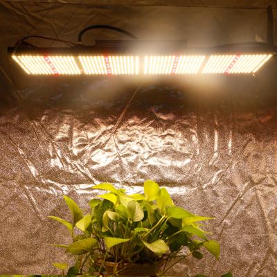 China Seeking Business Partners Plant Grow Cabinet v3 Led Grow Lights For Indoor Plants, Novedades 2024 Indoor Lights Planting en venta