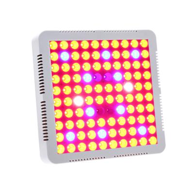 China UV IR Indoor Plants Veg And Flower 300W Greenhouse Full Spectrum Led Grow Light for sale