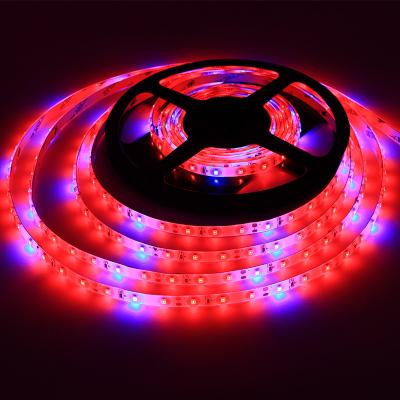 China DC 12V/24V SMD 2835 Soft Red and Blue Two-Color Greenhouse 120 degrees Beam angle LED Grow Light Strip for Indoor Plant à venda
