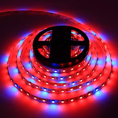 China SMD5050 LED Grow Strip Light 60led/m Red and Blue 4:1 and 5:1 Full Spectrum Plants Growth Light For Indoor Hydroponic Plant Te koop