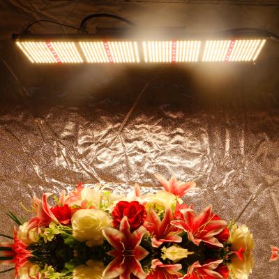 China SMILE top seller 320w 660nm PCBA with dimmer fit for 2'x4' coverage led grow light en venta