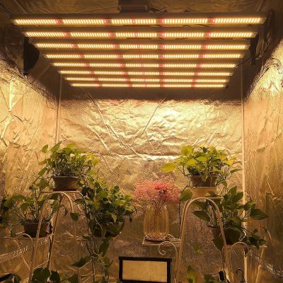 China 1000w ETL Listed full spectrum dimmable commercial led grow light for sale