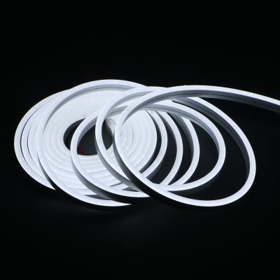 중국 Hot Sale 8*16mm 12v led neon rope lights120LEDs/meter neon flexible led strip light IP65 SMD2835 neon 판매용