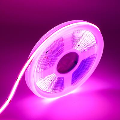 China 12V Pink Red COB strip light Dotless IP20 COB LED Strip lamp for Wall Ceiling Decoration for sale