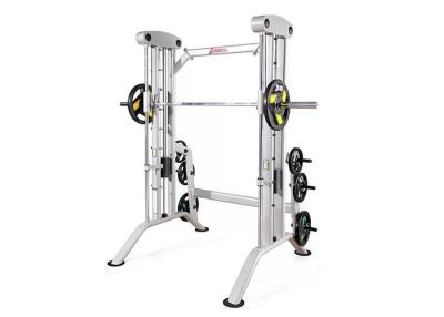 China Ocupa Smith Machine Rack da gaiola do poder do equipamento do exercício do Gym da aptidão da vida multi à venda