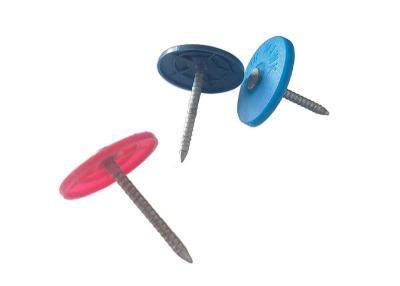 China Attaching Wood To Wood 3 Plastic Cap Nails For Home Improvement for sale
